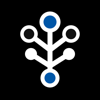 TeamEstonia