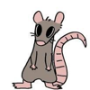 Ratonbri